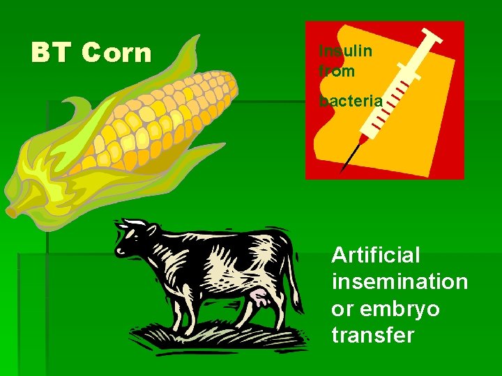 BT Corn Insulin from bacteria Artificial insemination or embryo transfer 