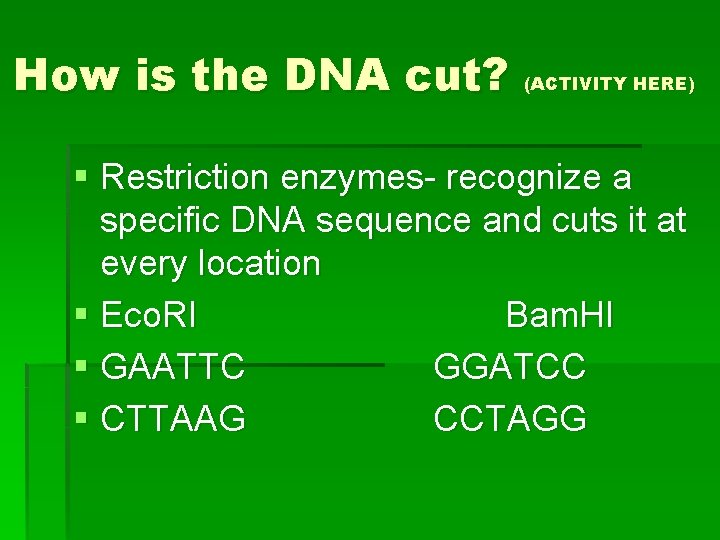 How is the DNA cut? (ACTIVITY HERE) § Restriction enzymes- recognize a specific DNA