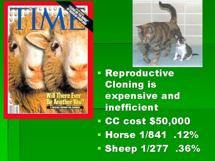 § Reproductive Cloning is expensive and inefficient § CC cost $50, 000 § Horse