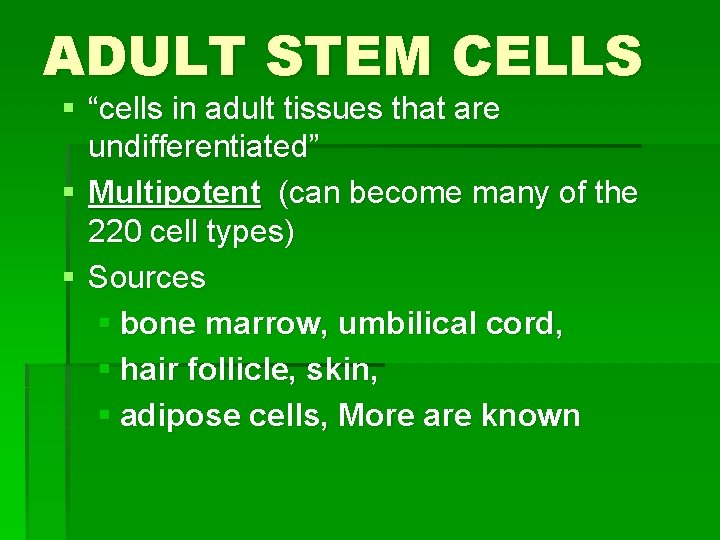 ADULT STEM CELLS § “cells in adult tissues that are undifferentiated” § Multipotent (can