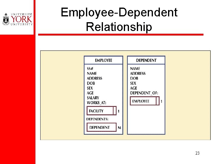 Employee-Dependent Relationship 23 