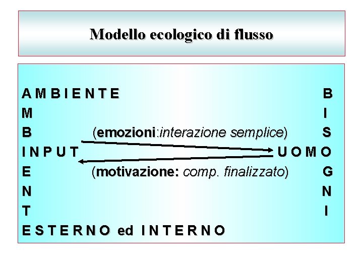 Modello ecologico di flusso AMBIENTE B M I B (emozioni: interazione semplice) S INPUT
