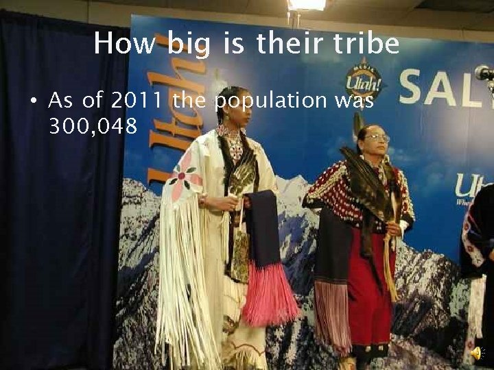 How big is their tribe • As of 2011 the population was 300, 048
