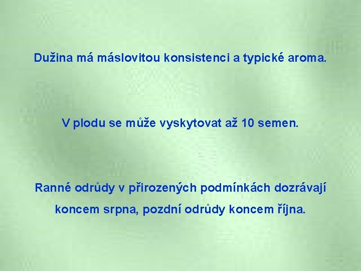 Dužina má máslovitou konsistenci a typické aroma. V plodu se může vyskytovat až 10