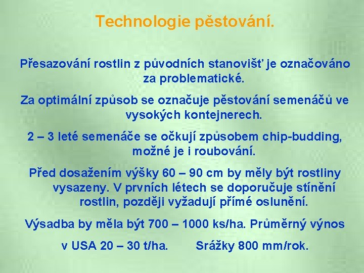 Technologie pěstování. Přesazování rostlin z původních stanovišť je označováno za problematické. Za optimální způsob