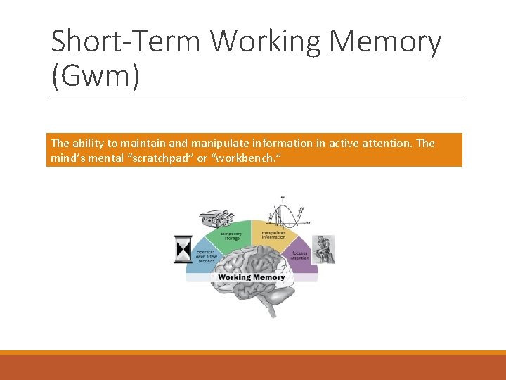 Short-Term Working Memory (Gwm) The ability to maintain and manipulate information in active attention.