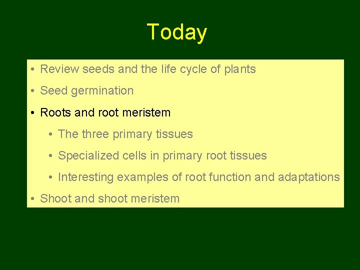 Today • Review seeds and the life cycle of plants • Seed germination •
