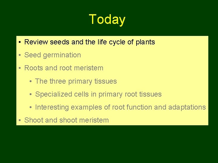 Today • Review seeds and the life cycle of plants • Seed germination •