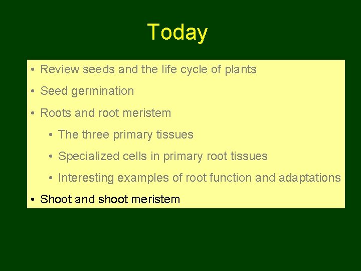 Today • Review seeds and the life cycle of plants • Seed germination •