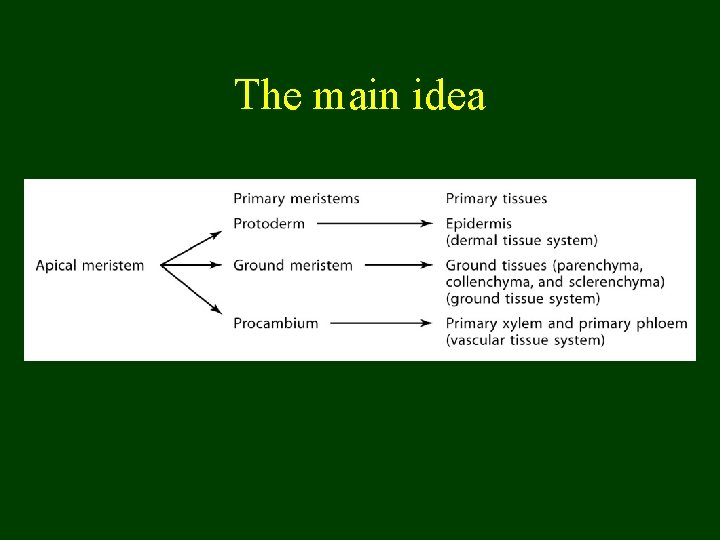 The main idea 