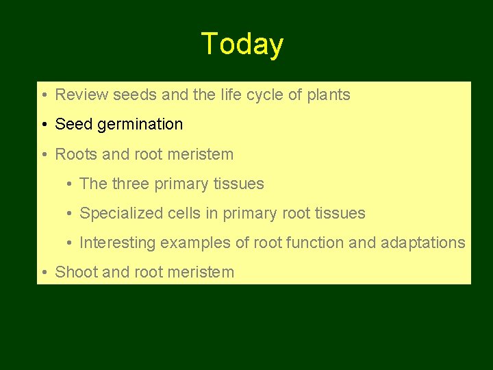 Today • Review seeds and the life cycle of plants • Seed germination •