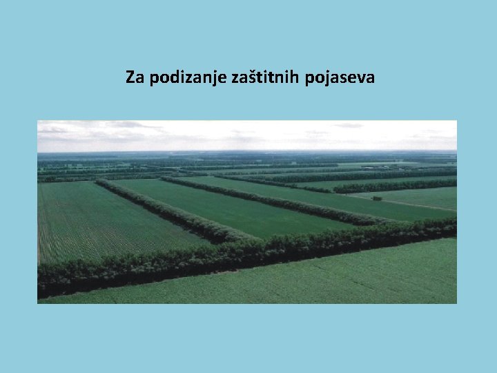 Za podizanje zaštitnih pojaseva 