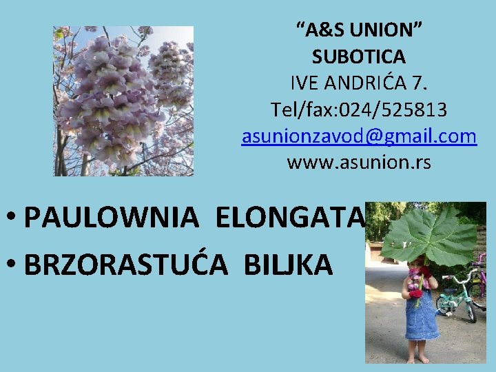 “A&S UNION” SUBOTICA IVE ANDRIĆA 7. Tel/fax: 024/525813 asunionzavod@gmail. com www. asunion. rs •