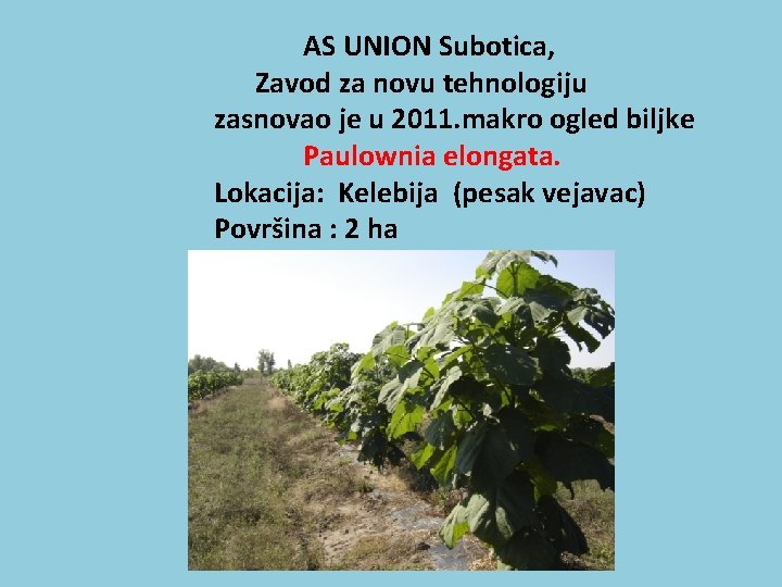  AS UNION Subotica, Zavod za novu tehnologiju zasnovao je u 2011. makro ogled