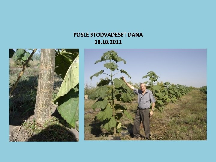 POSLE STODVADESET DANA 18. 10. 2011 