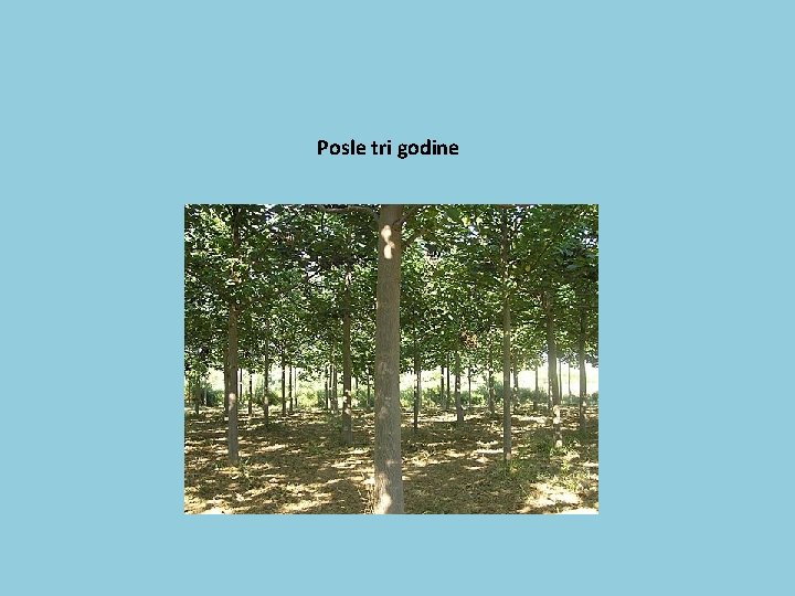 Posle tri godine 