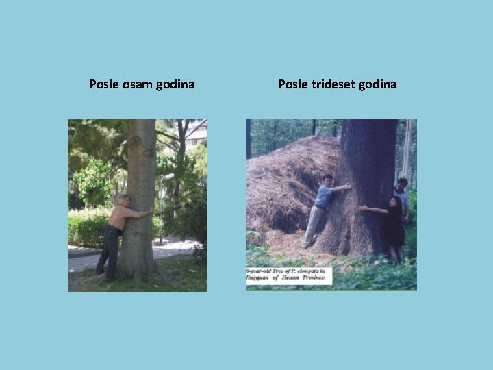 Posle osam godina Posle trideset godina 