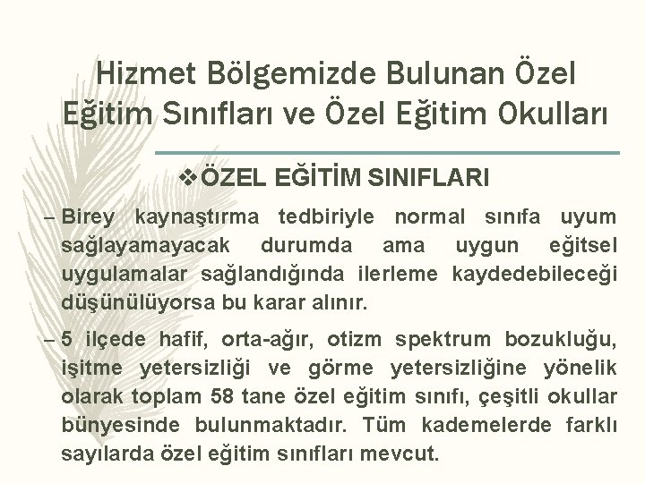 Hizmet Bölgemizde Bulunan Özel Eğitim Sınıfları ve Özel Eğitim Okulları vÖZEL EĞİTİM SINIFLARI –