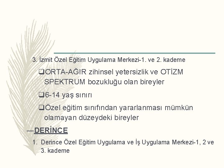 3. İzmit Özel Eğitim Uygulama Merkezi-1. ve 2. kademe q. ORTA-AĞIR zihinsel yetersizlik ve