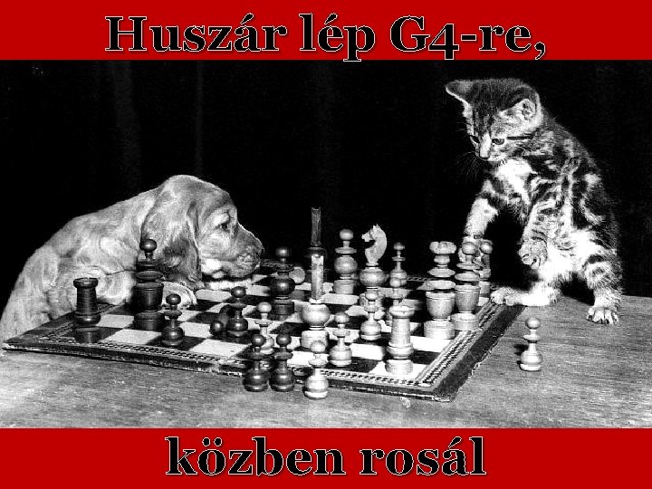 Huszár lép G 4 -re, közben rosál 