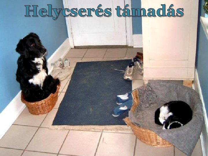 Helycserés támadás Helycserés támadás