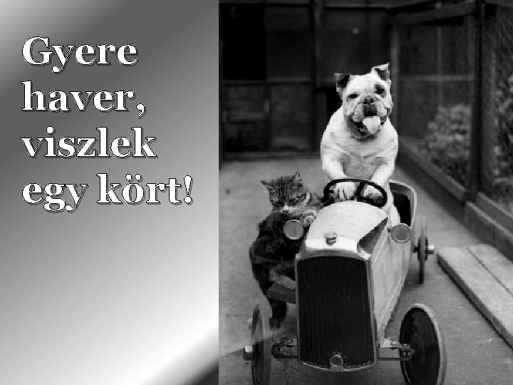 Gyere haver, viszlek egy kört! Gyere haver, viszlek egy kört!