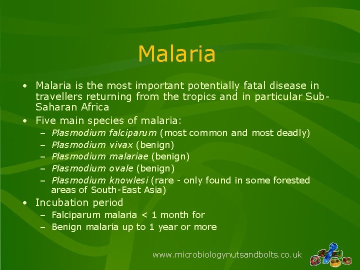 Malaria • Malaria is the most important potentially fatal disease in travellers returning from
