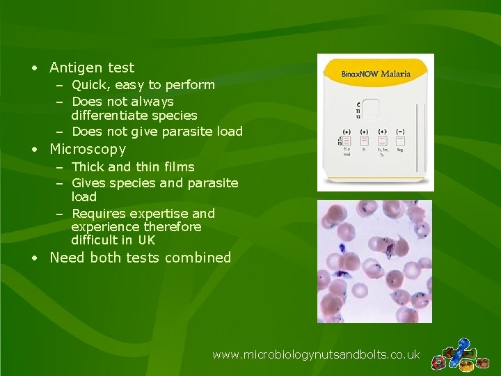  • Antigen test – Quick, easy to perform – Does not always differentiate