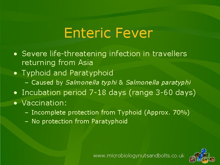 Enteric Fever • Severe life-threatening infection in travellers returning from Asia • Typhoid and