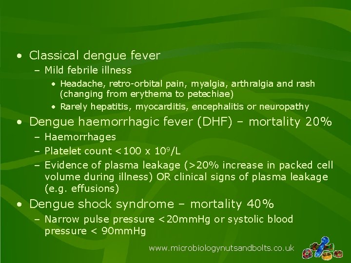  • Classical dengue fever – Mild febrile illness • Headache, retro-orbital pain, myalgia,