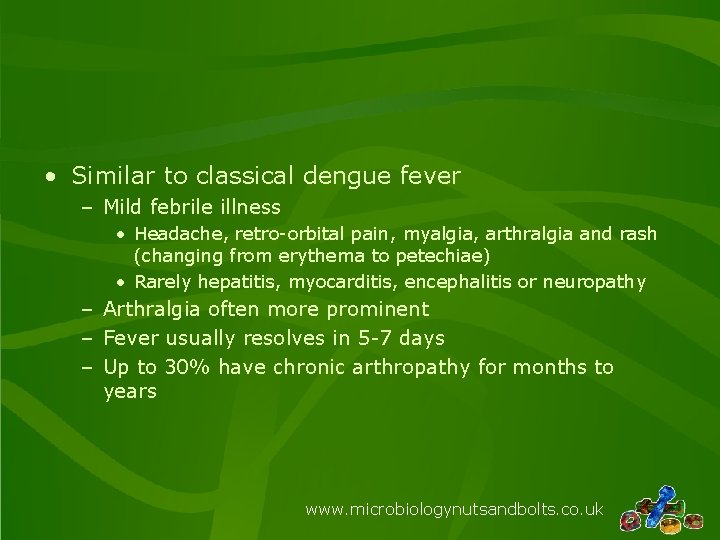  • Similar to classical dengue fever – Mild febrile illness • Headache, retro-orbital