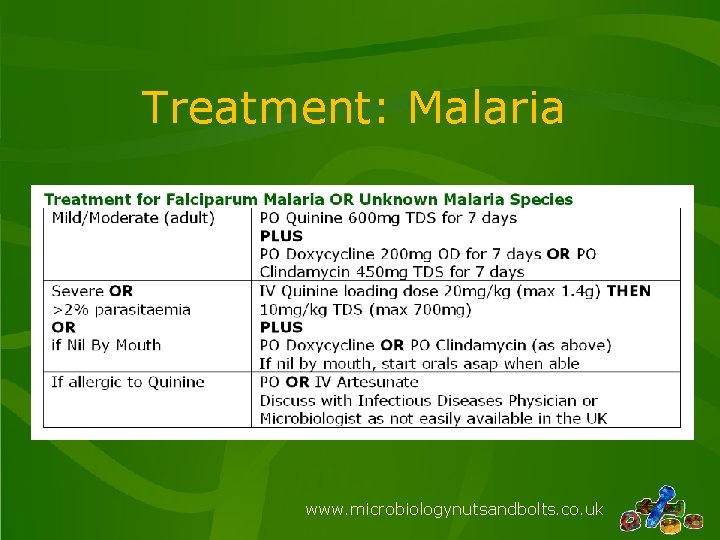 Treatment: Malaria www. microbiologynutsandbolts. co. uk Treatment: Malaria www. microbiologynutsandbolts. co. uk