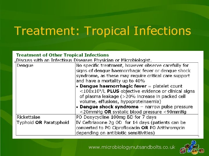 Treatment: Tropical Infections www. microbiologynutsandbolts. co. uk 
