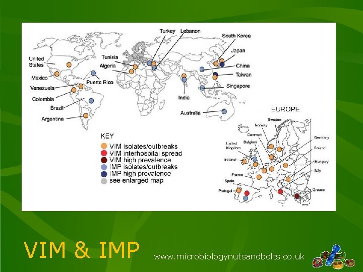 VIM & IMP www. microbiologynutsandbolts. co. uk 