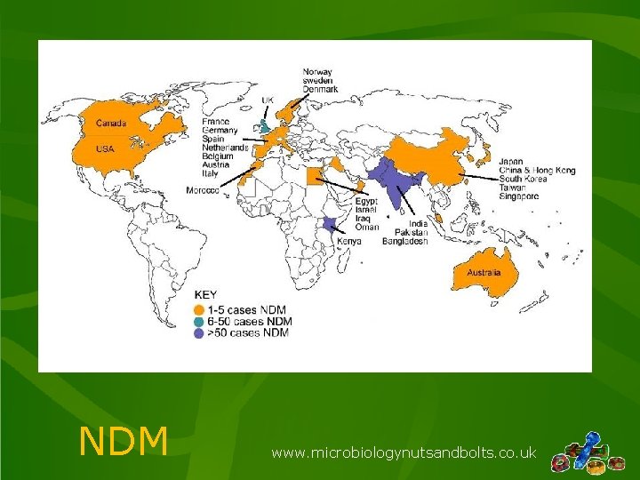 NDM www. microbiologynutsandbolts. co. uk 
