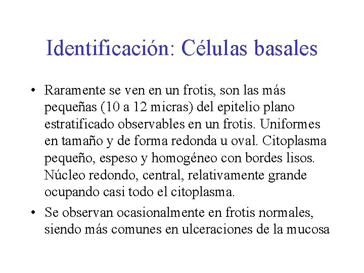 Identificación: Células basales • Raramente se ven en un frotis, son las más pequeñas