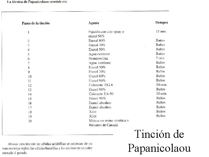 Tinción de Papanicolaou 