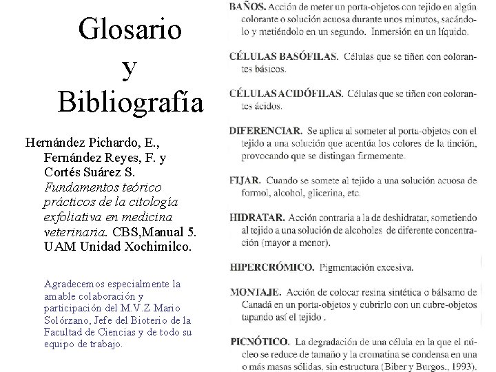 Glosario y Bibliografía Hernández Pichardo, E. , Fernández Reyes, F. y Cortés Suárez S.