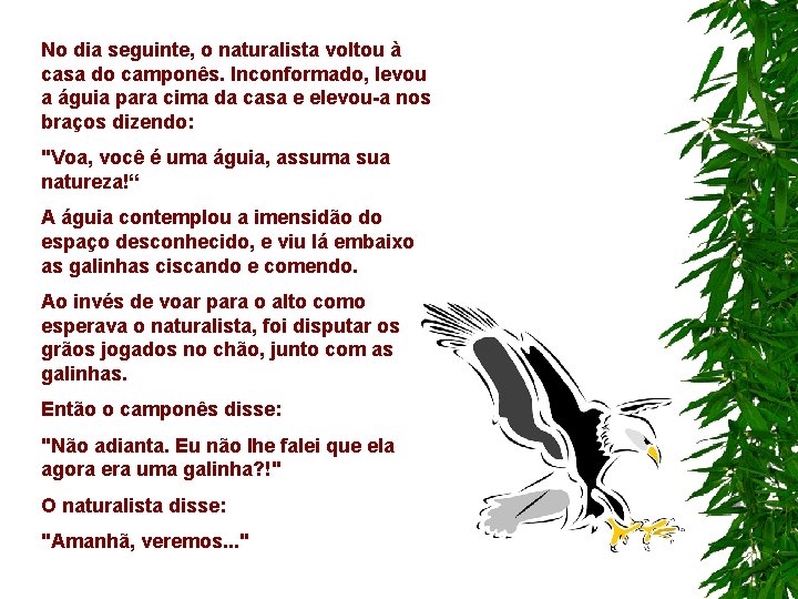 No dia seguinte, o naturalista voltou à casa do camponês. Inconformado, levou a águia