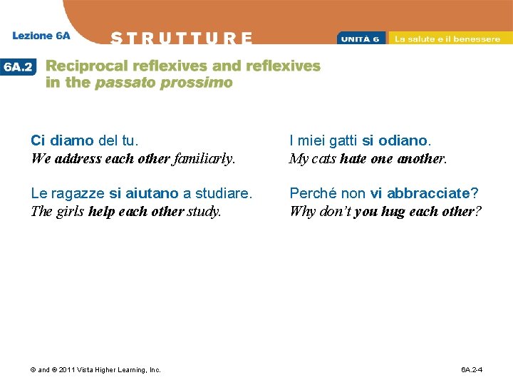 Ci diamo del tu. We address each other familiarly. I miei gatti si odiano.