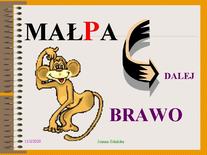 MAŁPA DALEJ BRAWO 11/2/2020 Joanna Sokalska 