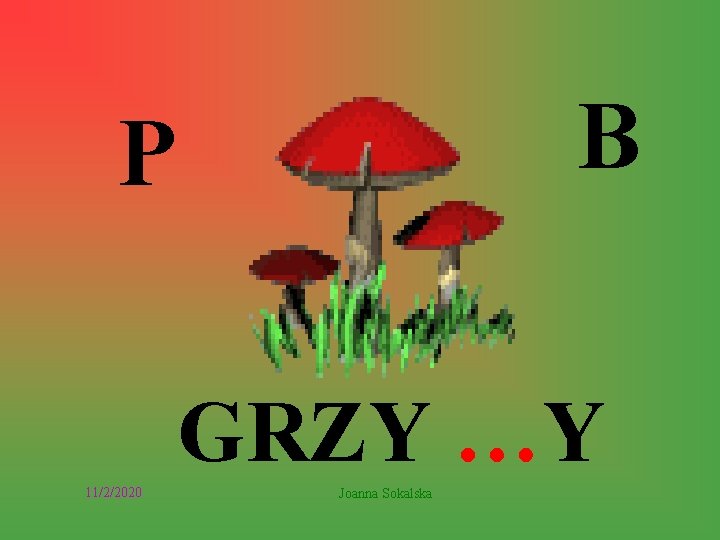 B P GRZY …Y 11/2/2020 Joanna Sokalska 