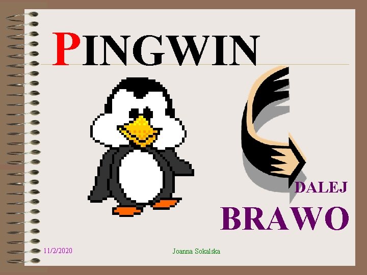 PINGWIN DALEJ BRAWO 11/2/2020 Joanna Sokalska 