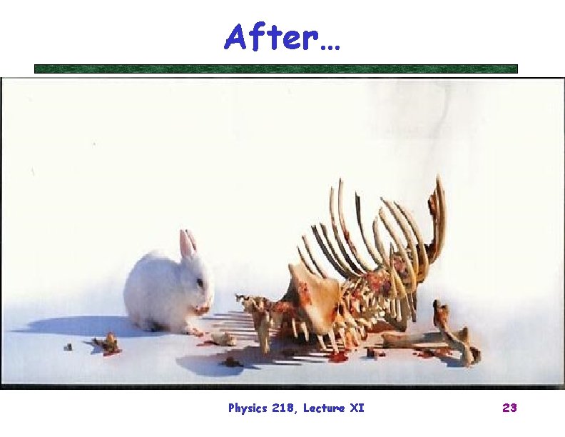 After… Physics 218, Lecture XI 23 