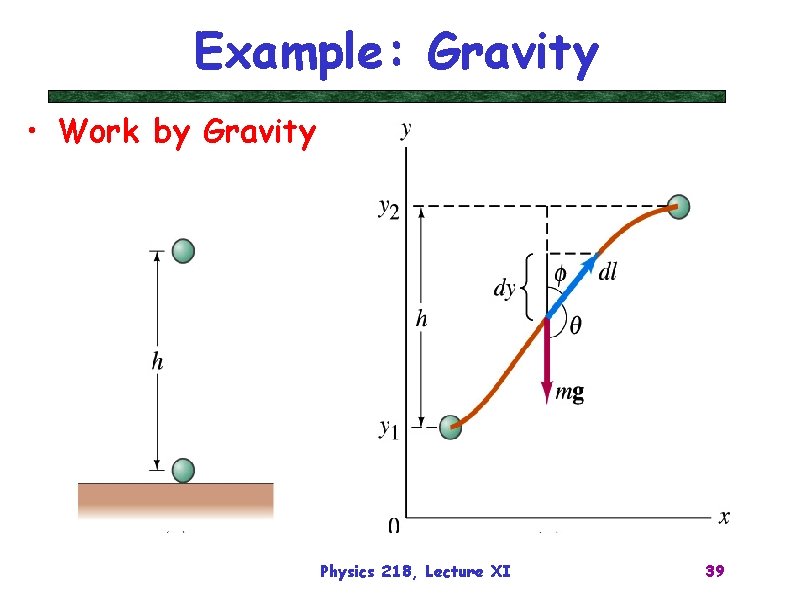 Example: Gravity • Work by Gravity Physics 218, Lecture XI 39 