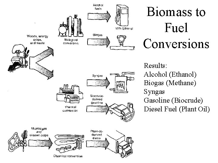 Biomass to Fuel Conversions Results: Alcohol (Ethanol) Biogas (Methane) Syngas Gasoline (Biocrude) Diesel Fuel