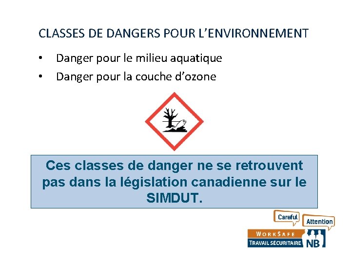 CLASSES DE DANGERS POUR L’ENVIRONNEMENT • • Danger pour le milieu aquatique Danger pour