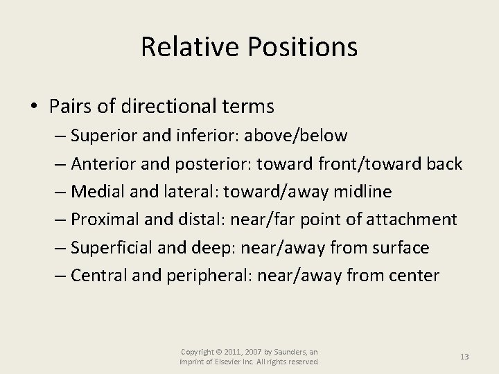 Relative Positions • Pairs of directional terms – Superior and inferior: above/below – Anterior