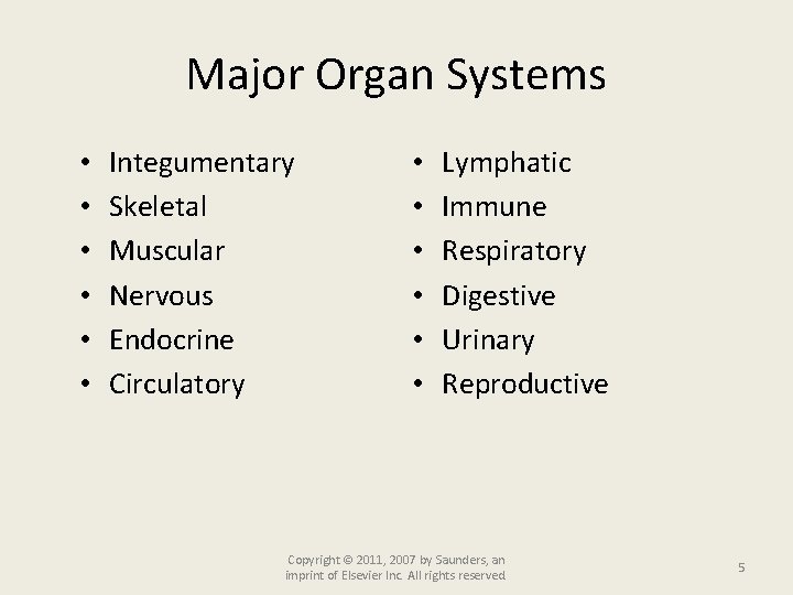 Major Organ Systems • • • Integumentary Skeletal Muscular Nervous Endocrine Circulatory • •