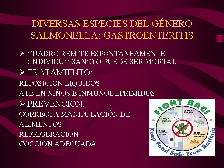 DIVERSAS ESPECIES DEL GÉNERO SALMONELLA: GASTROENTERITIS Ø CUADRO REMITE ESPONTANEAMENTE (INDIVIDUO SANO) O PUEDE